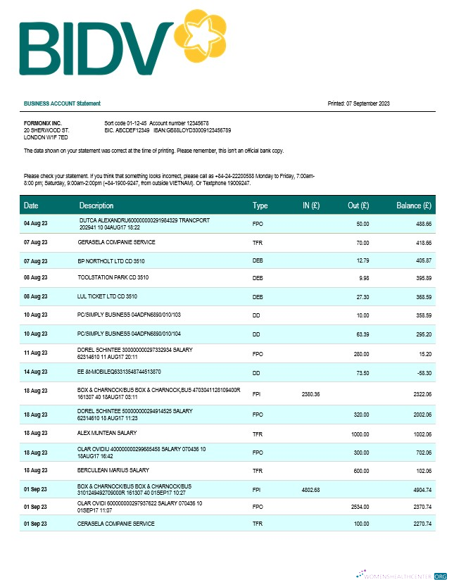 Bank for Investment and Development of Vietnam (BIDV) business statement Word and PDF template
